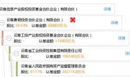 云南投资爆料最新消息,揭秘最新热点项目与投资机遇