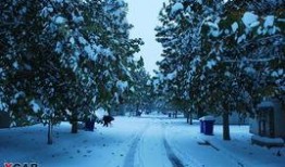 雪雨 在线观看,在线观看的浪漫邂逅