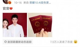 娱乐圈吃瓜网站有哪些,揭秘热门八卦平台