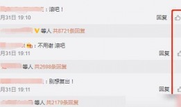 小猪节目爆料视频,揭秘娱乐圈幕后真相